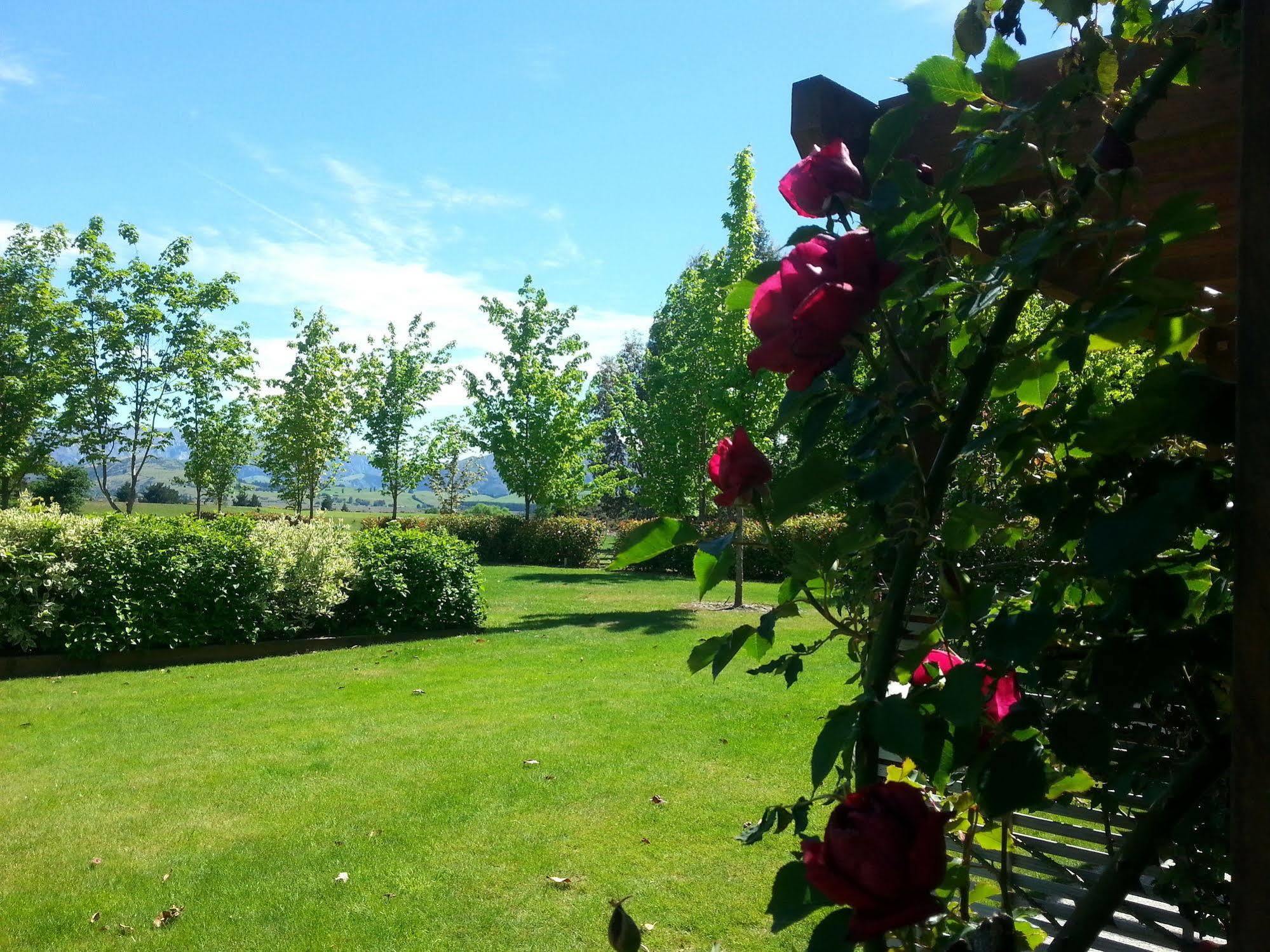 Maple Lodge Luxury Bed & Breakfast Albert Town Exteriör bild